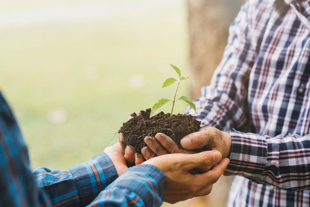 Person giving another person a plant.