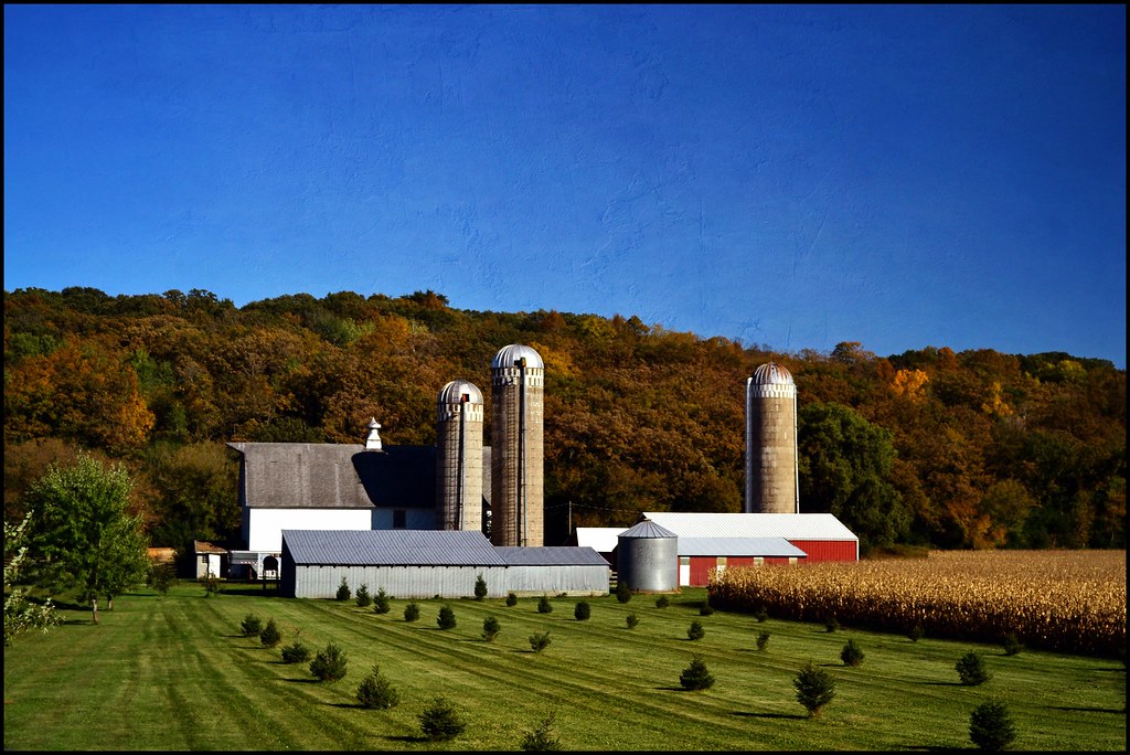 Farm